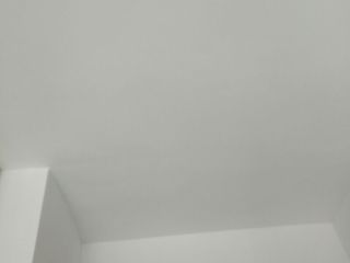 墙、顶面乳胶漆