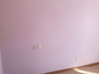 墙、顶面乳胶漆