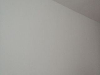 墙、顶面乳胶漆