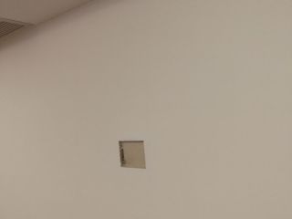 墙、顶面乳胶漆