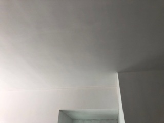 墙、顶面乳胶漆