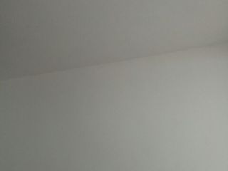 墙、顶面乳胶漆
