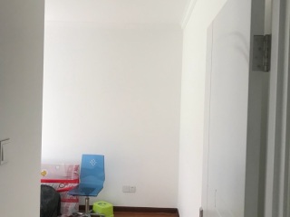 墙、顶面腻子批嵌