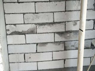 日常巡检
