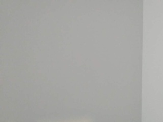 墙、顶面乳胶漆