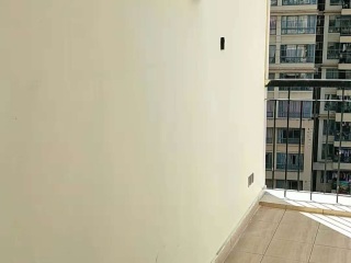 墙、顶面腻子批嵌