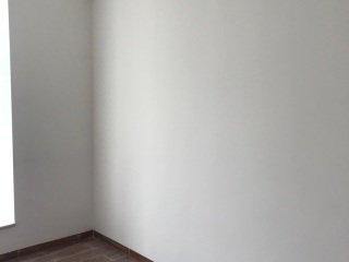 墙、顶面乳胶漆