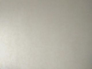 墙、顶面乳胶漆
