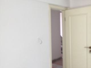 墙、顶面乳胶漆