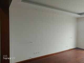 墙、顶面乳胶漆