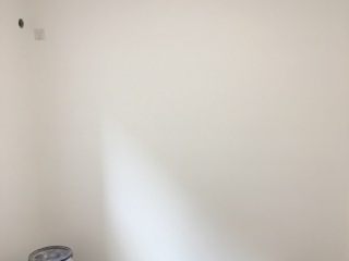 墙、顶面乳胶漆
