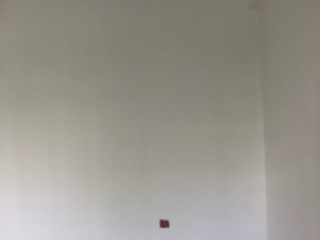 墙、顶面乳胶漆