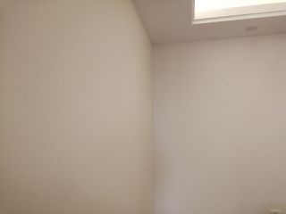 墙、顶面腻子批嵌