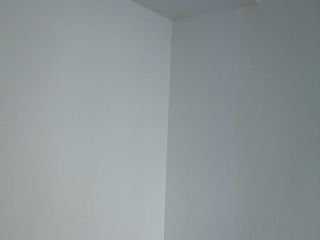 墙、顶面乳胶漆