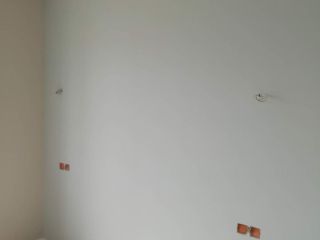 墙、顶面乳胶漆