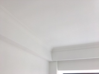 墙、顶面腻子批嵌