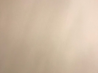 墙、顶面乳胶漆