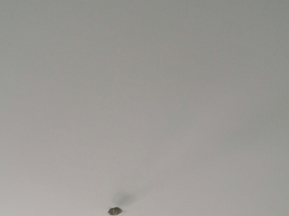 墙、顶面乳胶漆