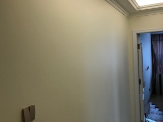 墙、顶面乳胶漆
