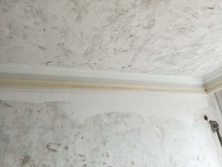 木工吊顶施工