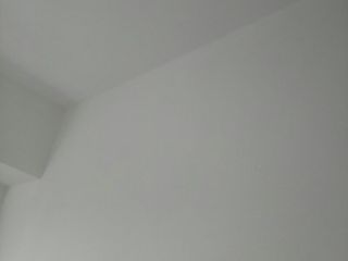 墙、顶面乳胶漆及墙纸铺贴