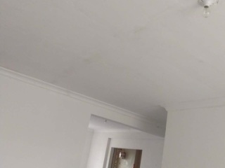 墙、顶面腻子批嵌