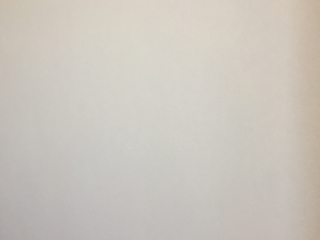 墙、顶面腻子批嵌