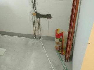 日常巡检