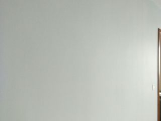 墙、顶面乳胶漆