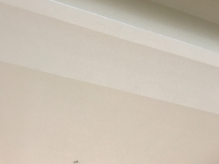 墙、顶面腻子批嵌