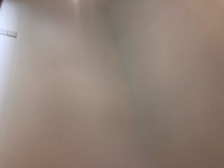 墙、顶面腻子批嵌