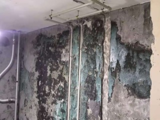 日常巡检