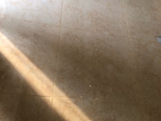 日常巡检