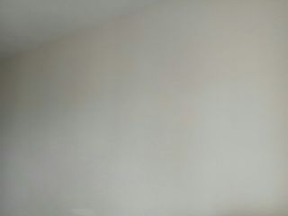 墙、顶面乳胶漆