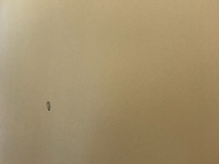 墙、顶面腻子批嵌