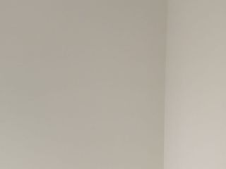 墙、顶面乳胶漆