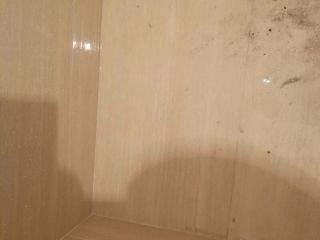 泥木工程 验收