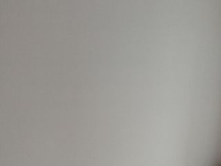 墙、顶面乳胶漆