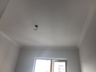 墙、顶面乳胶漆