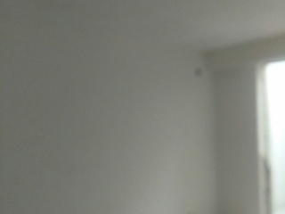 墙、顶面腻子批嵌