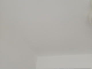 墙、顶面乳胶漆