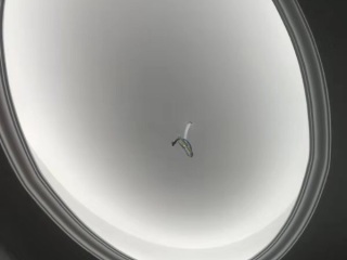 日常巡检