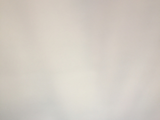 墙、顶面腻子批嵌