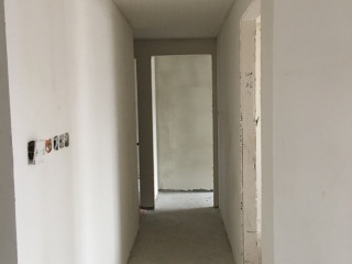 墙、顶面腻子批嵌