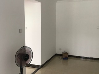 墙、顶面乳胶漆