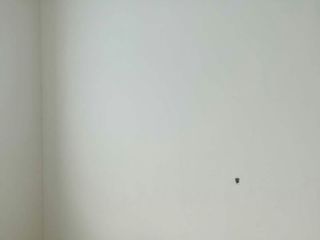 墙、顶面腻子批嵌