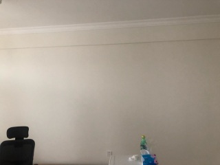 墙、顶面乳胶漆