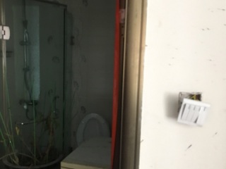 日常巡检