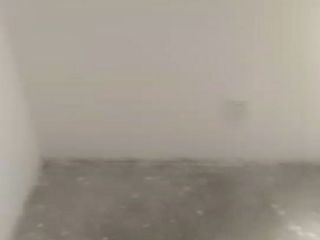 墙、顶面乳胶漆