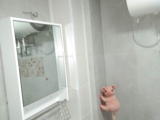 竣工验收